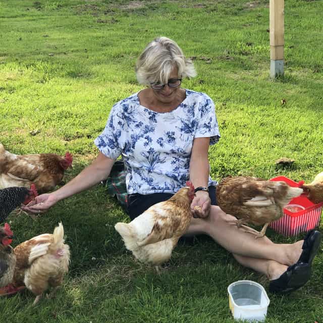 Hühner und Dagmar